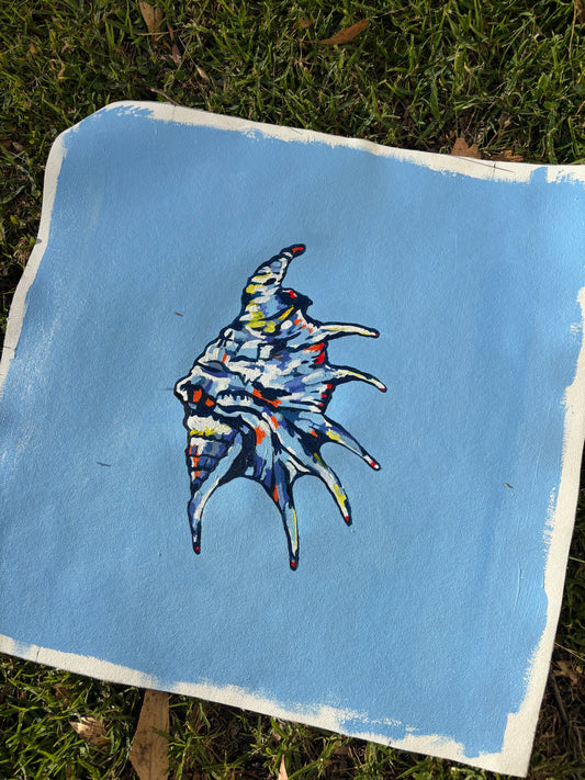 Shell 1 - mini canvas
